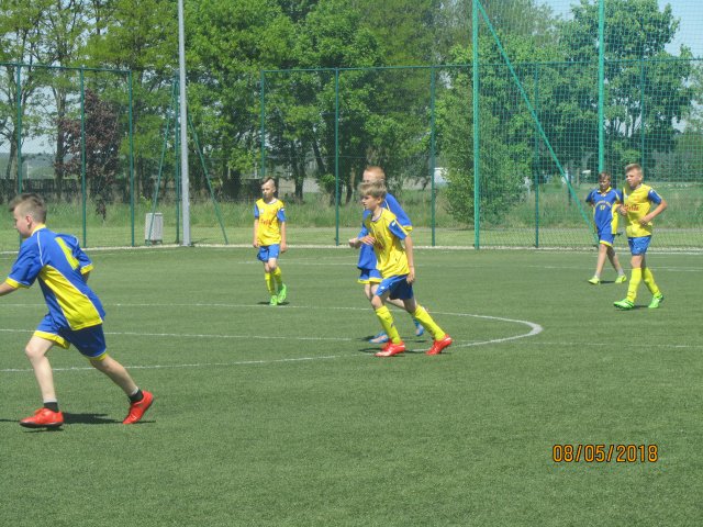 pino 13